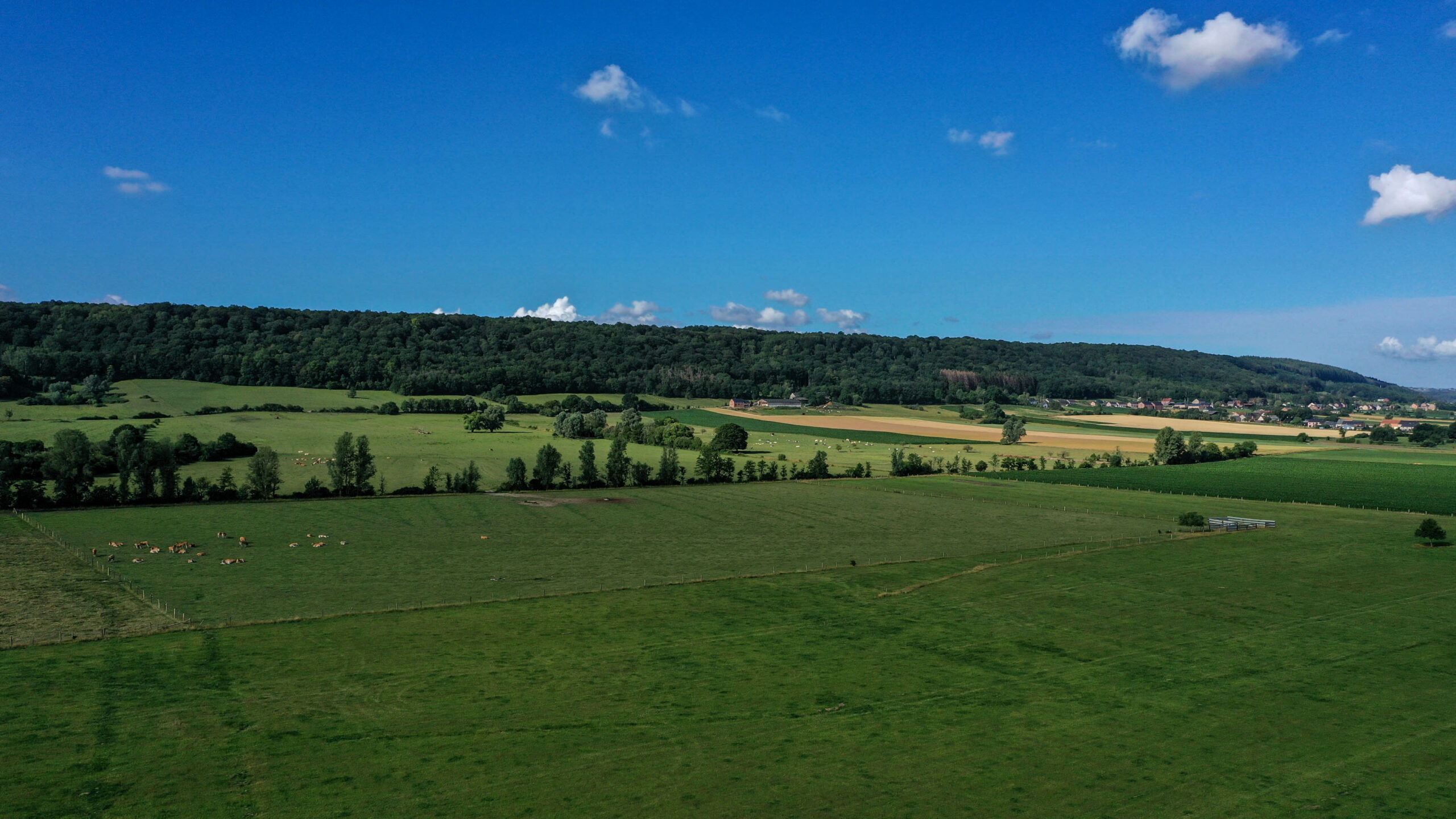 Beauraing ou l&rsquo;expérience de la « quiétude active »