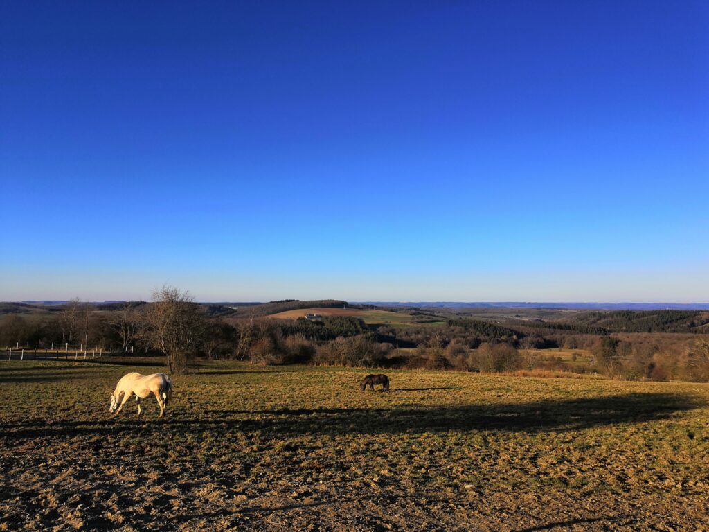 Le Géopark à Beauraing