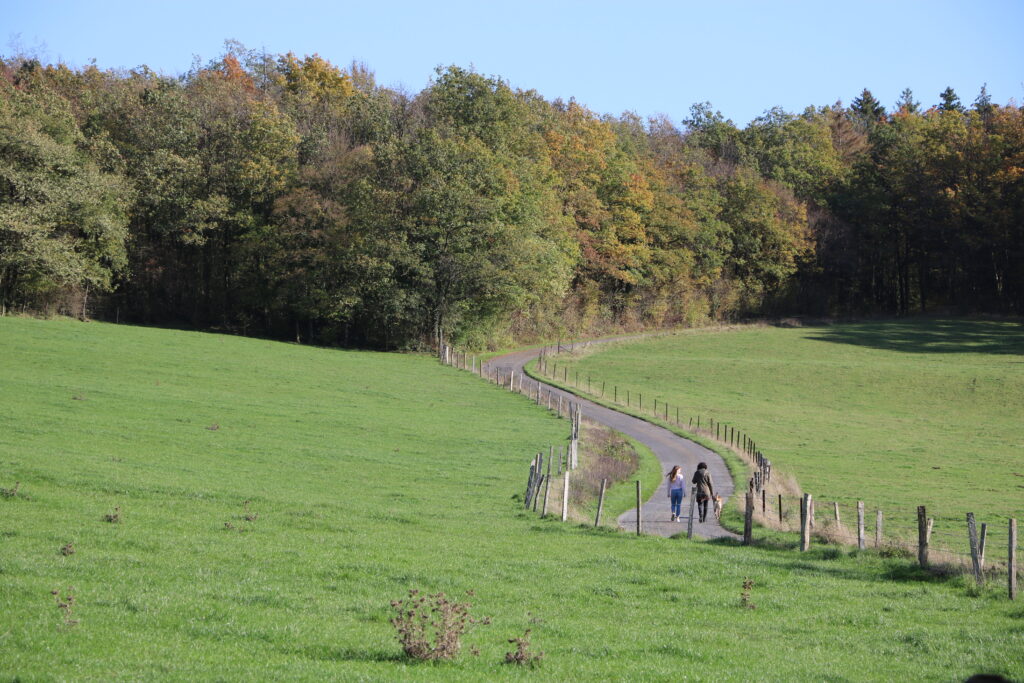 Marcher à Beauraing