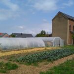 Serres de la ferme maraîchère les Raviers de Louise