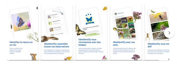 ObsIdentify, une application mobile qui permet d'identifier une espèce.