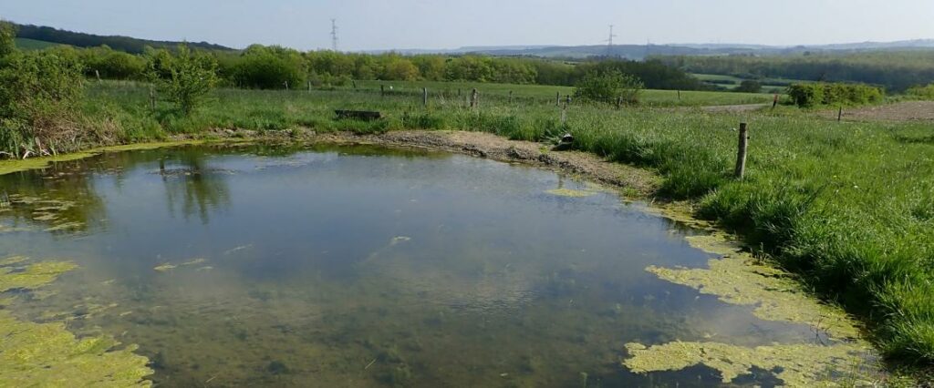 Réserve de Feschaux