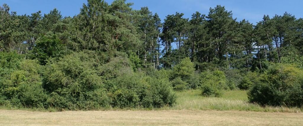 Réserve de la Vallée de la Wimbe