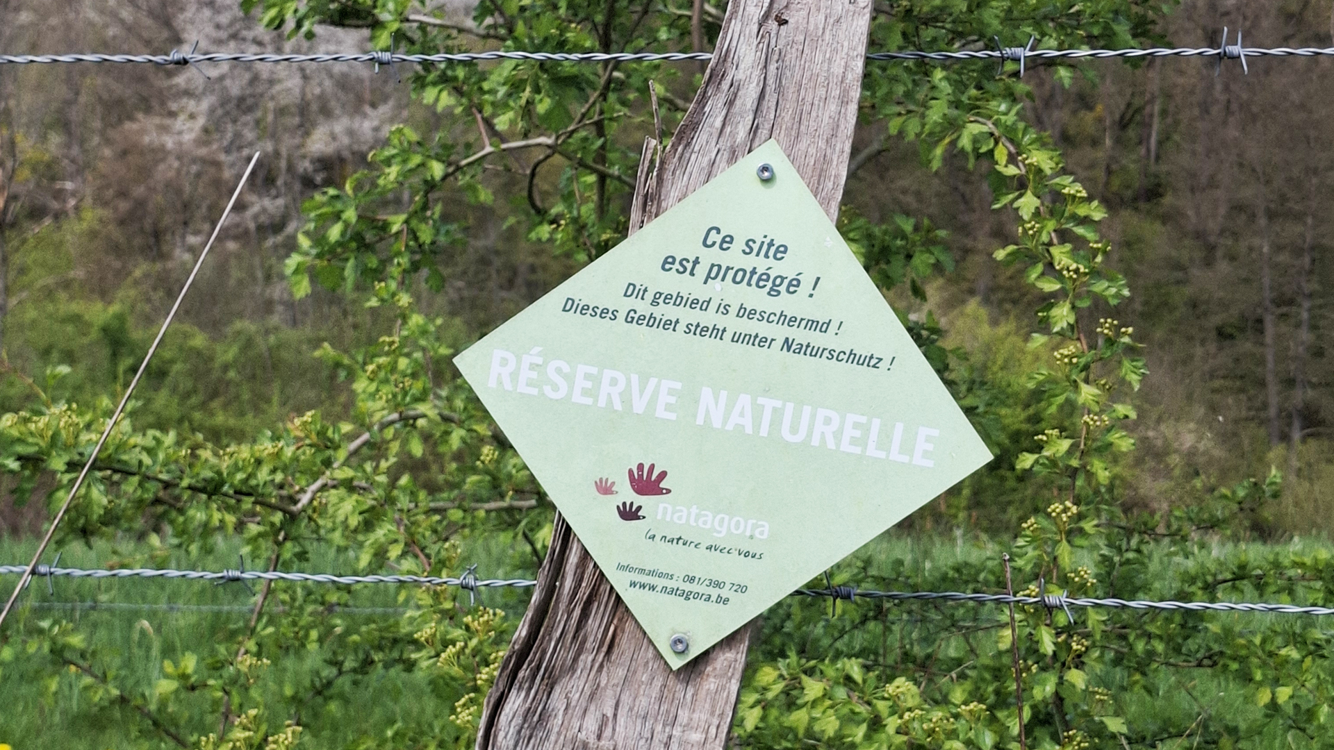 À la découverte des réserves naturelles de Natagora à Beauraing