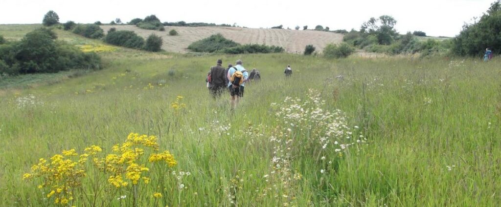 Réserve de Wancennes
