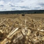 Bref Ferme du rivage Beauraing