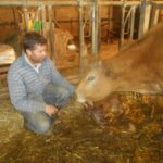 ferme reine des pres parthenaises