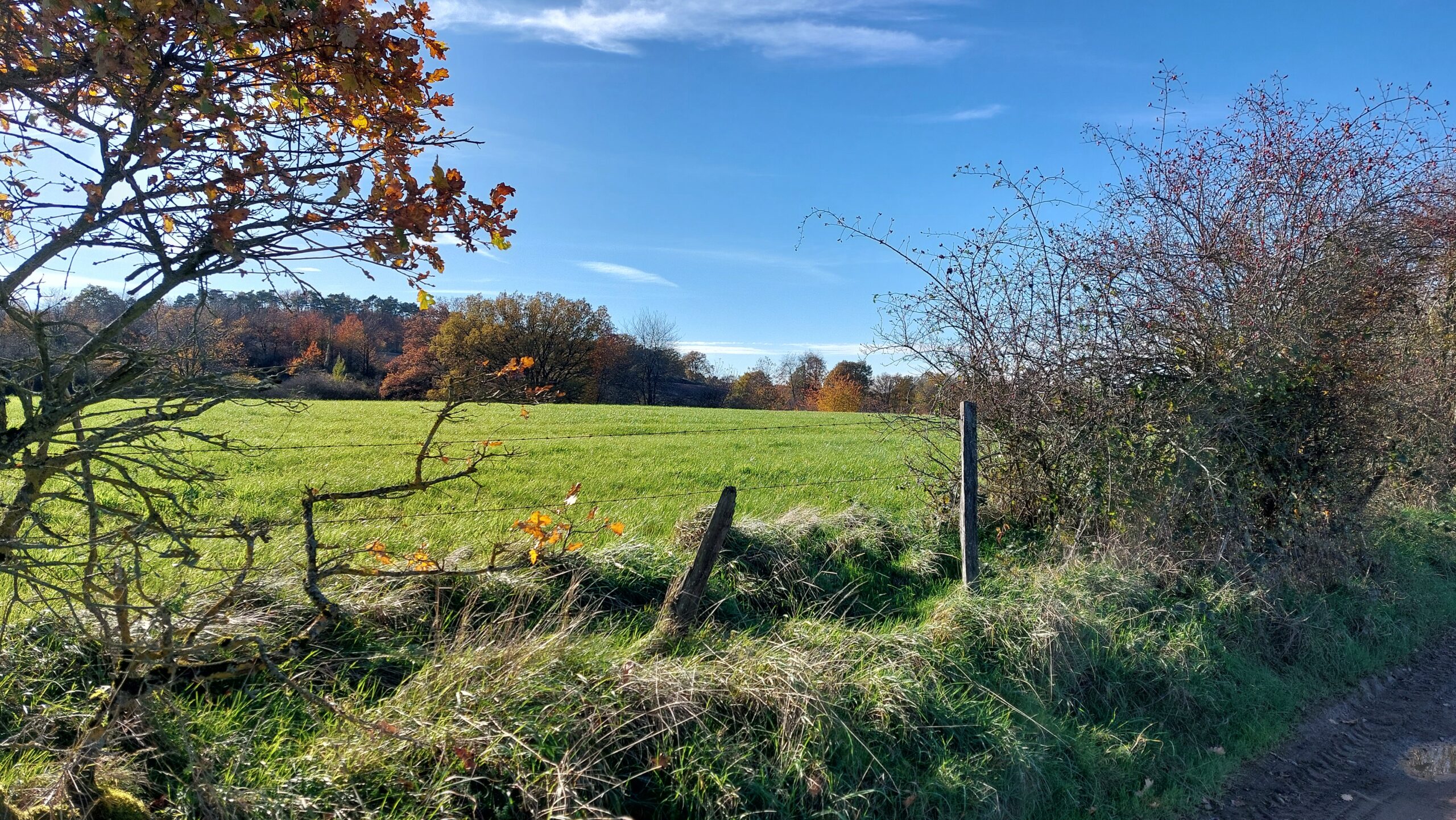 Baronville – Au fil de l’Hileau et le tour du moulin